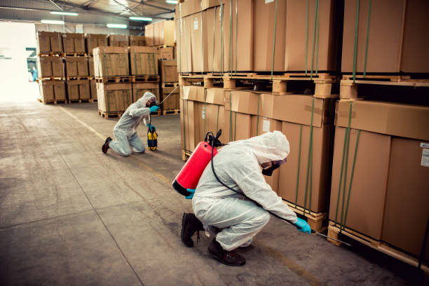 Best Best Pest Control Near Me  in Cedar Falls, IA