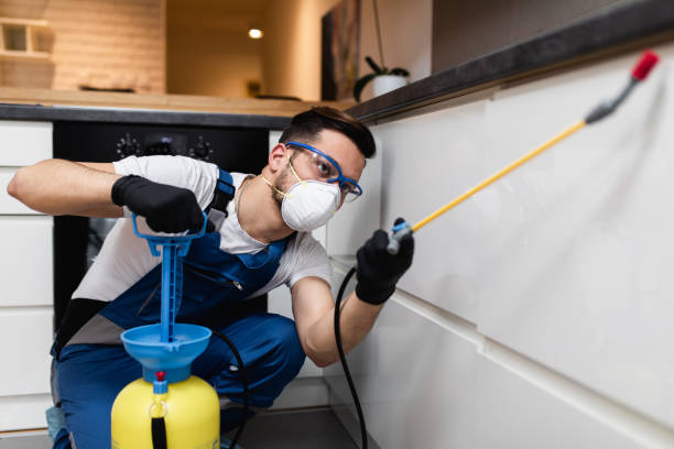 Best Termite Control Services  in Cedar Falls, IA