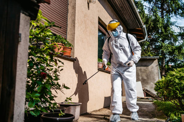 Trusted Cedar Falls, IA Pest Control Experts
