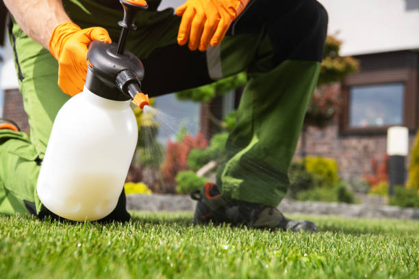 Best Wasp Removal Services  in Cedar Falls, IA