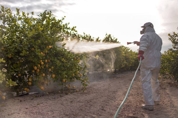 Best Pest Control Near Me in Cedar Falls, IA