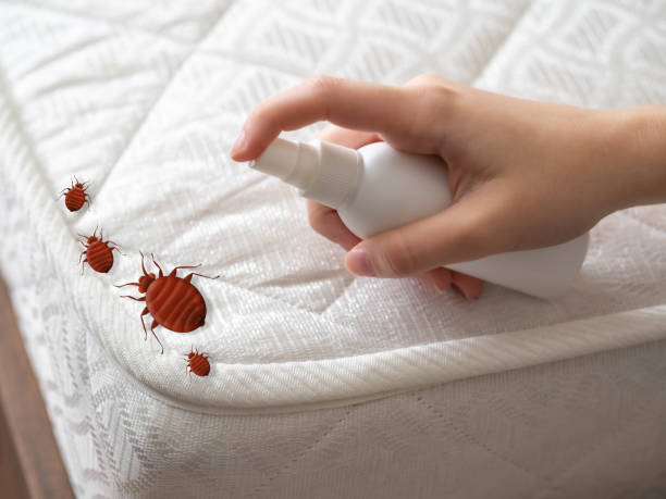 Best Mosquito Control Services  in Cedar Falls, IA