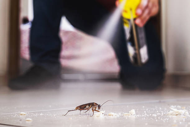 Best Emergency Pest Control  in Cedar Falls, IA