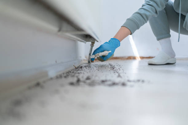 Best Residential Pest Control  in Cedar Falls, IA