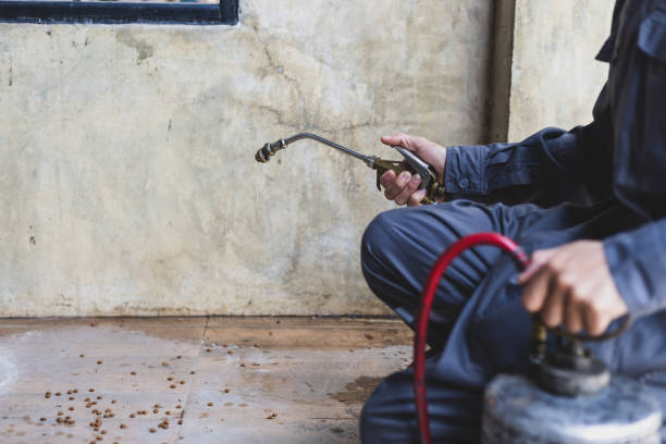Best Pest Control for Restaurants  in Cedar Falls, IA